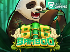 Casino bingo games63